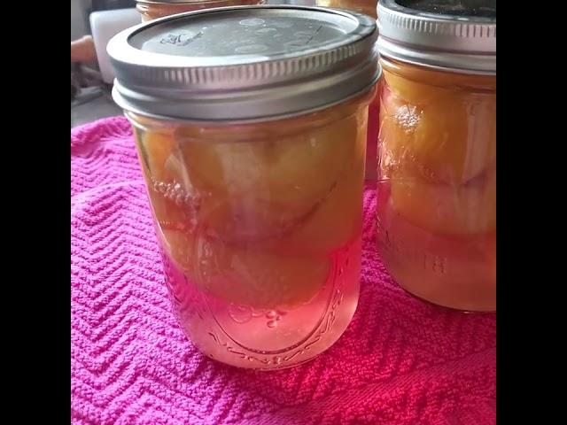 My #canned Yellow Cling Peaches. #shorts