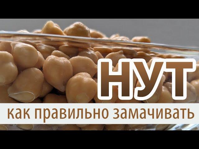 Замачивание нута – как и сколько замачивать и варить