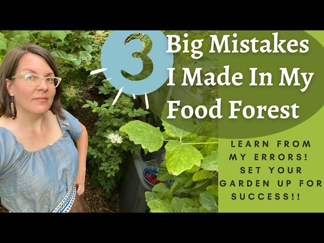 The 3 Biggest Garden Errors I Made Early On In My Food Forest: Learn From My Mistakes!