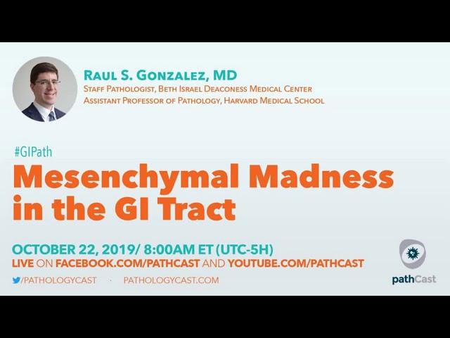 Mesenchymal madness in the GI tract - Dr. Gonzalez (BIDMC) #GIPATH