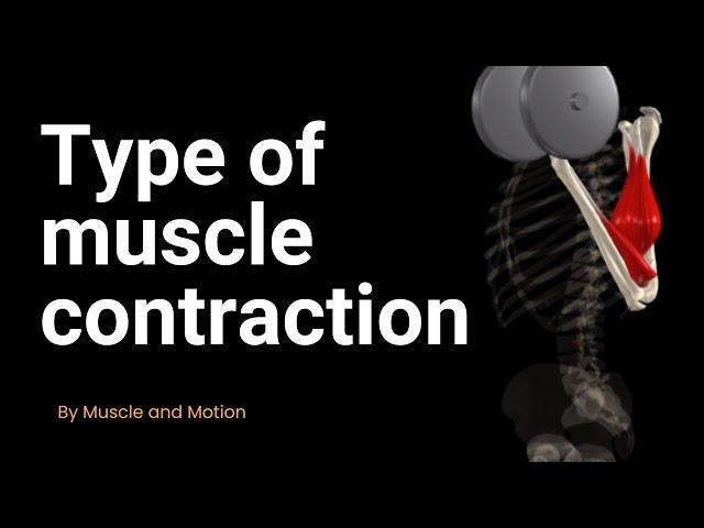 Type of muscle contraction