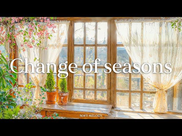 가을의 끝과 초겨울의 문턱에서산책하며 듣기 좋은 감성적인 피아노 음악 - change of seasons