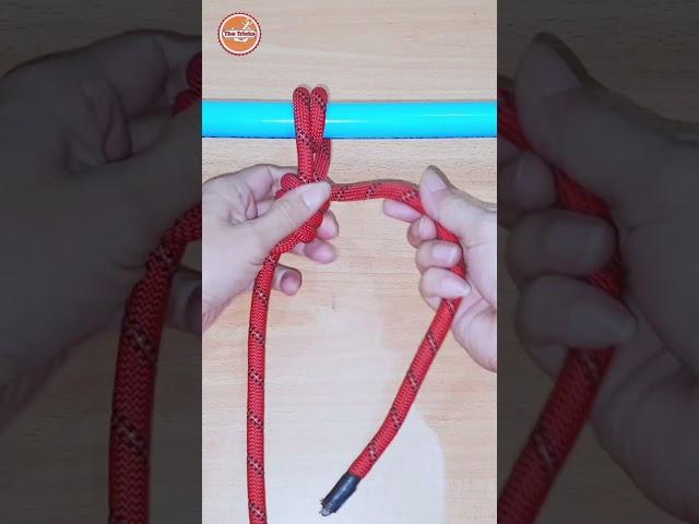 How to tie Knots Rope, DIY Knot Tutorial #diy #viral #shorts ep2806
