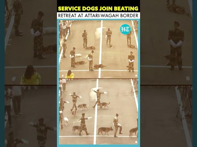 Service Dogs Join Beating Retreat at Attari-Wagah Border for Independence Day