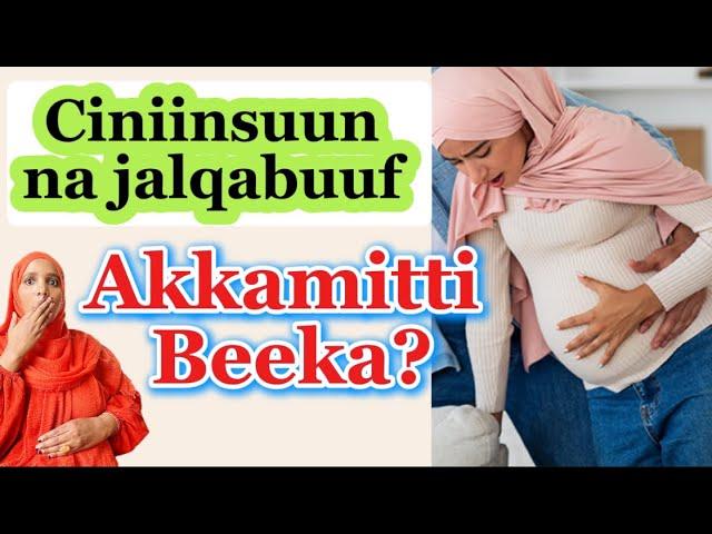 Mallatoo Ciniinsuu,ciniinsuun maal akka fakkaatu/what do contractions feel like in /oromo