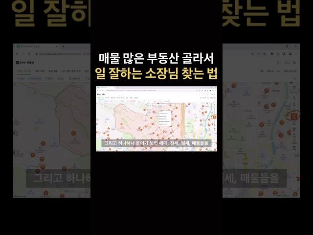 일 잘하는 부동산 소장님 찾는 법