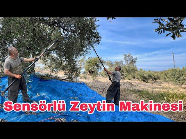 En İyilerinden Sensörlü Zeytin Hasat Makinesi | Malika MLK 750