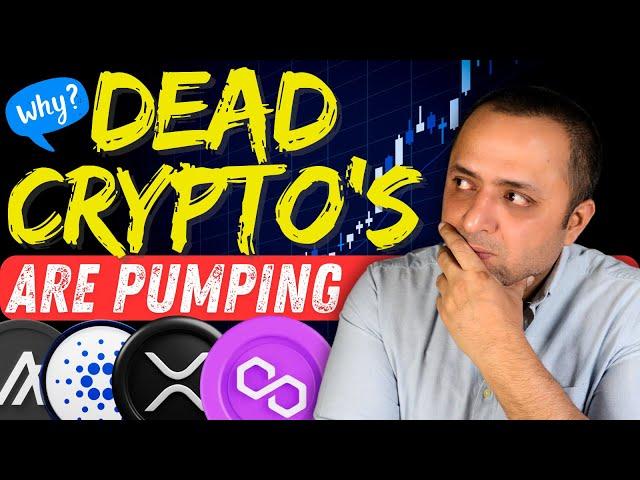  XRP , ADA & ALGO Among Others PUMP in 2024 - Here Is Why The DEAD Crypto's Are PUMPING | Altcoins