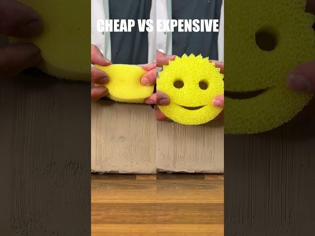 Can this make you rich? : Cheap vs expensive sponges insane result!