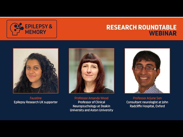 Research Roundtable on epilepsy and memory