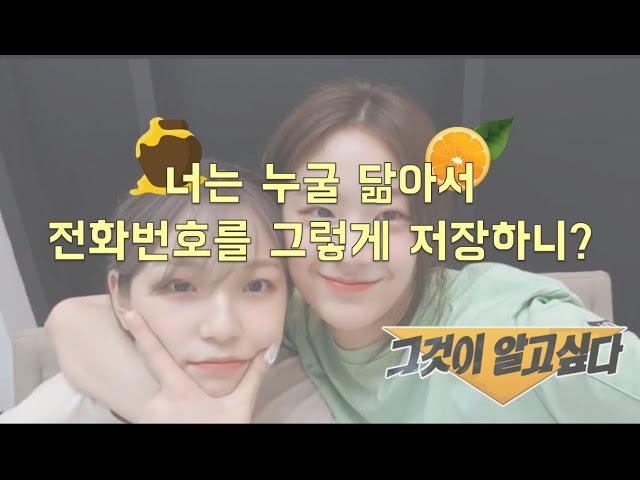 프로미스나인(fromis_9) 백지헌, 딸은 아빠를 닮는다