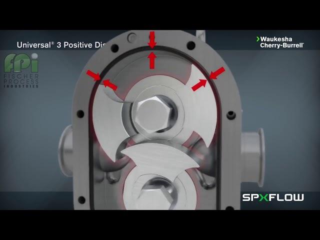 Waukesha U3 ECP Positive displacement Pump