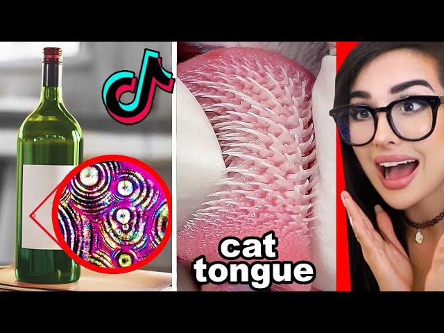 Cool Things I Learned On Tik Tok