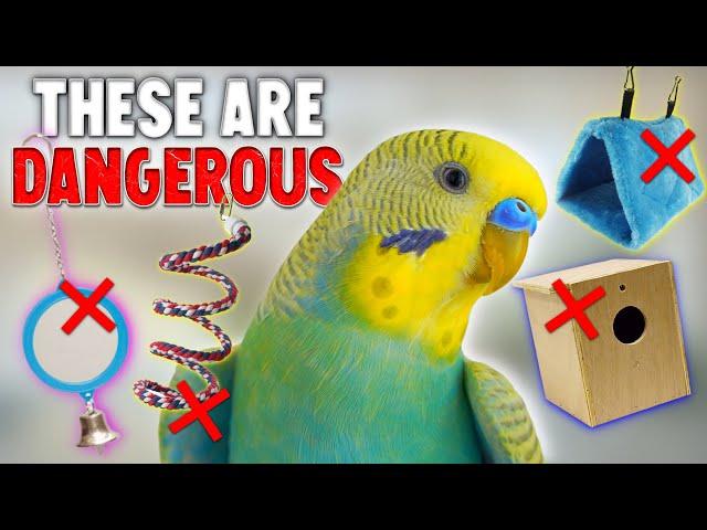 These 5 Dangerous Things can Hurt your Bird