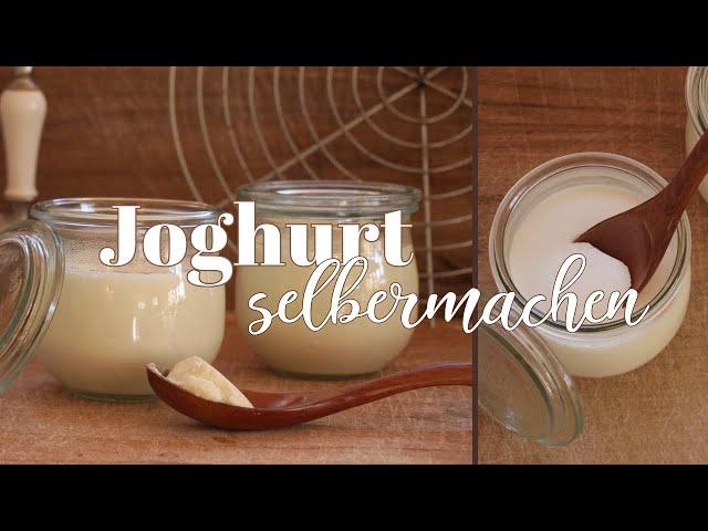 Nie mehr Joghurt kaufen - mit nur zwei Zutaten ganz einfach selbermachen