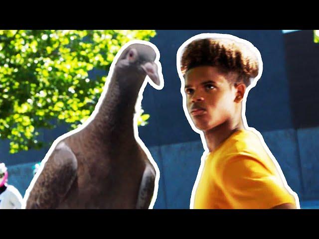 Pigeon Or Power Ranger?  Dino Fury  Power Rangers Kids  Action for Kids