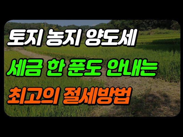 토지 양도세 최고의 절세방법(농지, 비사업용 토지)