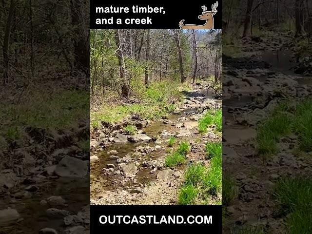 40+ acres with OWNER FINANCING in the Ozarks - Creeks, Timber, and Deer! JJ02 #shorts off grid land