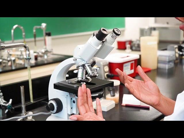 Dr Harmon - Zeiss Standard Microscope