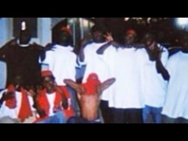 Haiti Mob/ ZoePounds gangs in southside St. Louis Missouri