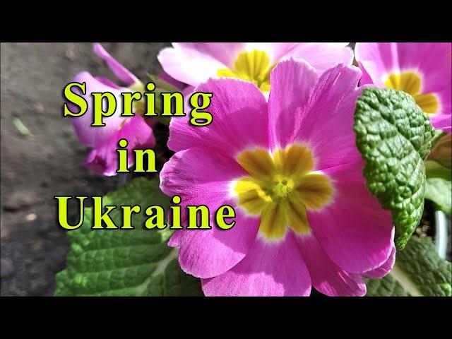 Spring in Ukraine