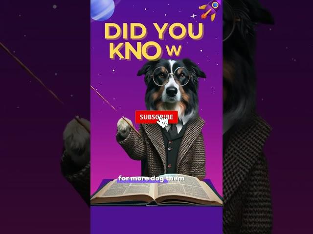 Canine Clocks: Unveiling How Dogs Perceive Time  #dog #doghealth  #doglovers