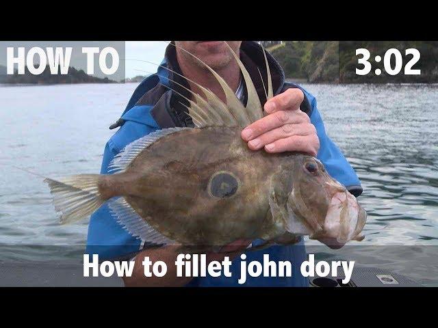 How to Fillet John Dory