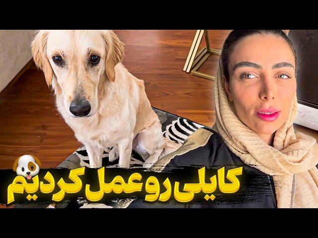 صفر تا صد عمل کایلی