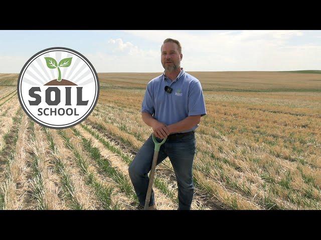 Soil School: Enhancing soil structure through controlled traffic farming