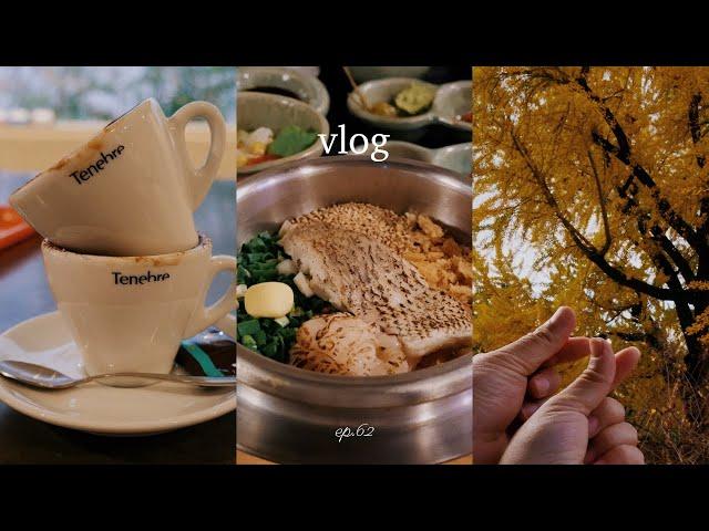 FALL VLOG  | 3 Korean Pot Rice Recipes & More