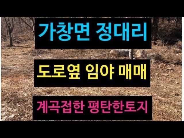 대구 달성군 가창면 토지 매매! 624평 도로옆 임야! 계곡 포함 ! 과수원이나 밭경작 용도로 추천!