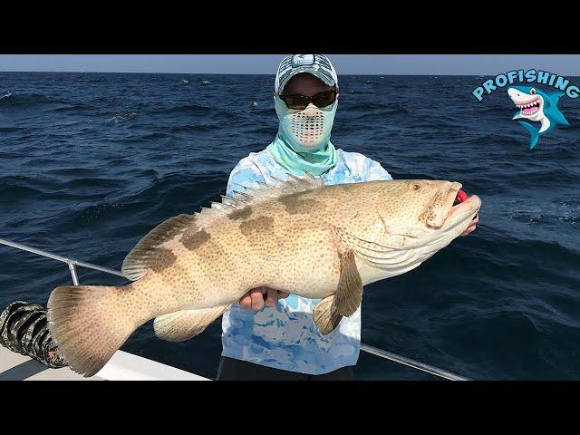 Abu Dhabi Fishing in the boat ! Huge Grupper!