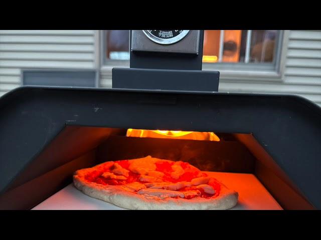 Cooking Up a Storm with the Deerfamy Pellet Fired Pizza Oven - Family Birthday Party Time