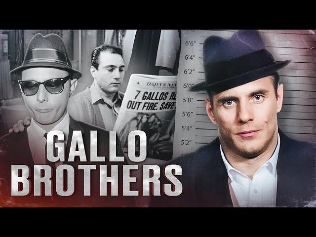 THE GALLO BROTHERS - 300 SPARTANS OF THE AMERICAN MAFIA