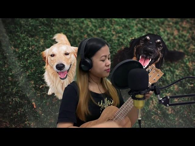 Isem | Ilokano song ( Ukulele Cover )