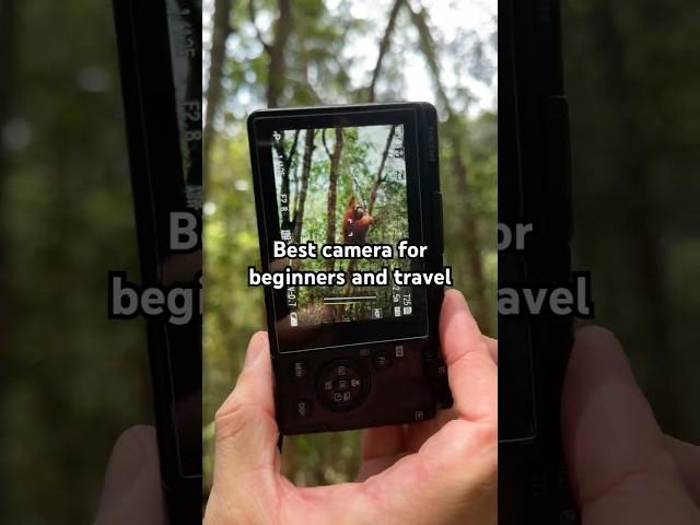 Ricoh GR IIIx HDF Sample Photos – Stunning Image Quality in a Compact Camera!