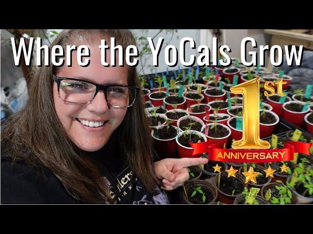 Where the YoCals Grow One Year Anniversary/Planting Early Spring Flower Seeds/VLOG