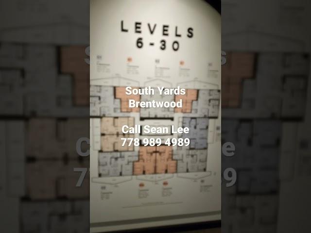 South Yards by Anthem in Brentwood