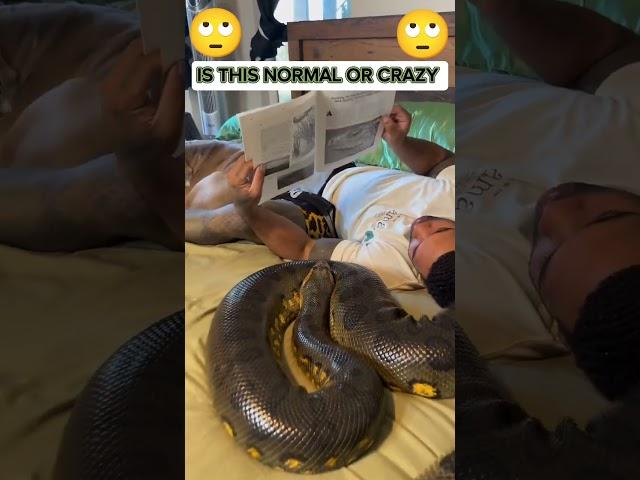 🫢 Unbelievable 🫢 Man with Snake & Pit Bull as Pets