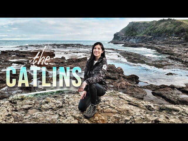 THE CATLINS, New Zealand | Petrified Forest (Curio Bay), Slope Point + Nugget Point