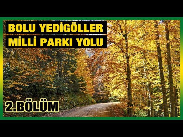 Yedigöller Milli Parkı yolu | Bolu Düzce | 2.  Bölüm | Yeryüzündeki Saklı Cennet | #yedigöller