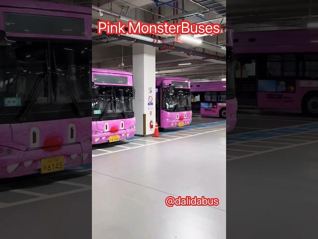 Monster Bus Buses !️ #해치버스  #tayobus  #서울버스