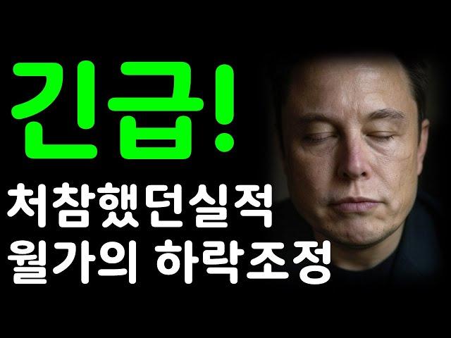테슬라 긴급! 처참했던 실적! 월가의 하락조정