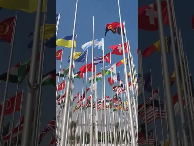 FIFA World Cup Qatar 2022 | All Country Flags | World Cup 2022