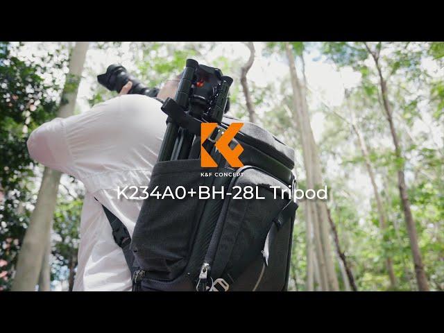 Portable Travel Tripod for Outdoor Photography Videography | K&F Concept K234A0+BH-28L Tripod