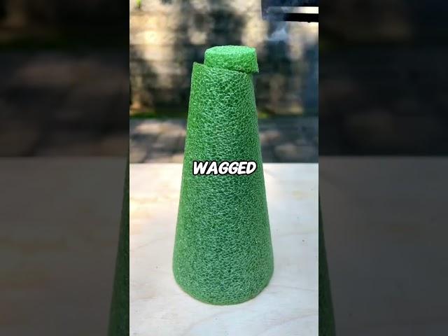How far would you go