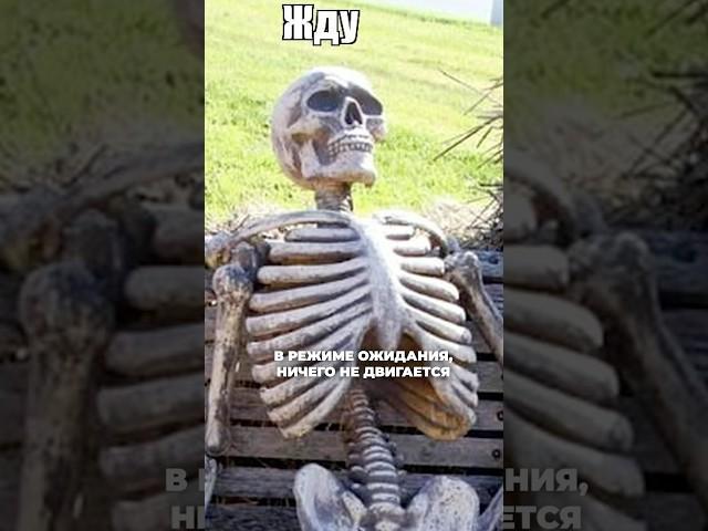 Сроки грин-карты по браку в июне 2025 года.
