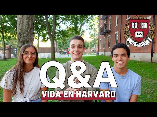 Q&A SOBRE HARVARD: comida, clases, vida social...