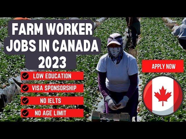 Canada Agriculture Farming Jobs 2023 - Apply Now for a Free Work Visa