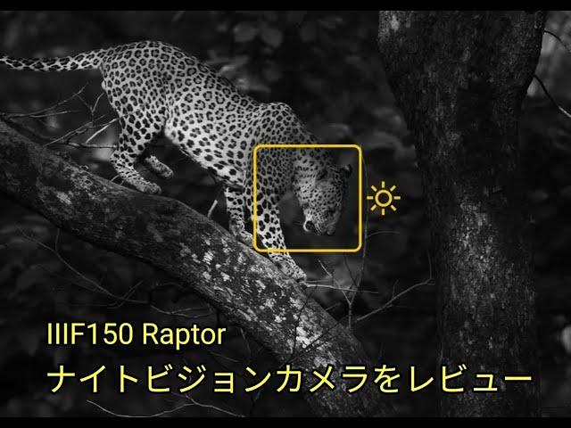 【レビューの王子さま】赤外線サーマル＆ナイトショット搭載スマホ IIIF150 Raptorレビュー（ナイトビジョンカメラ編）